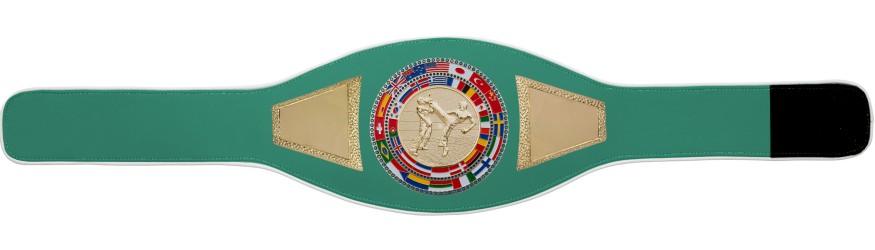 KICKBOXING CHAMPIONSHIP BELT-PROFLAG2/FLAG/G/KBOG - VARIETY OF LEATHER COLOURS AVAILABLE KICKBOXING CHAMPIONSHIP BELT-PROFLAG2/FLAG/G/KBOG - VARIETY OF LEATHER COLOURS AVAILABLE